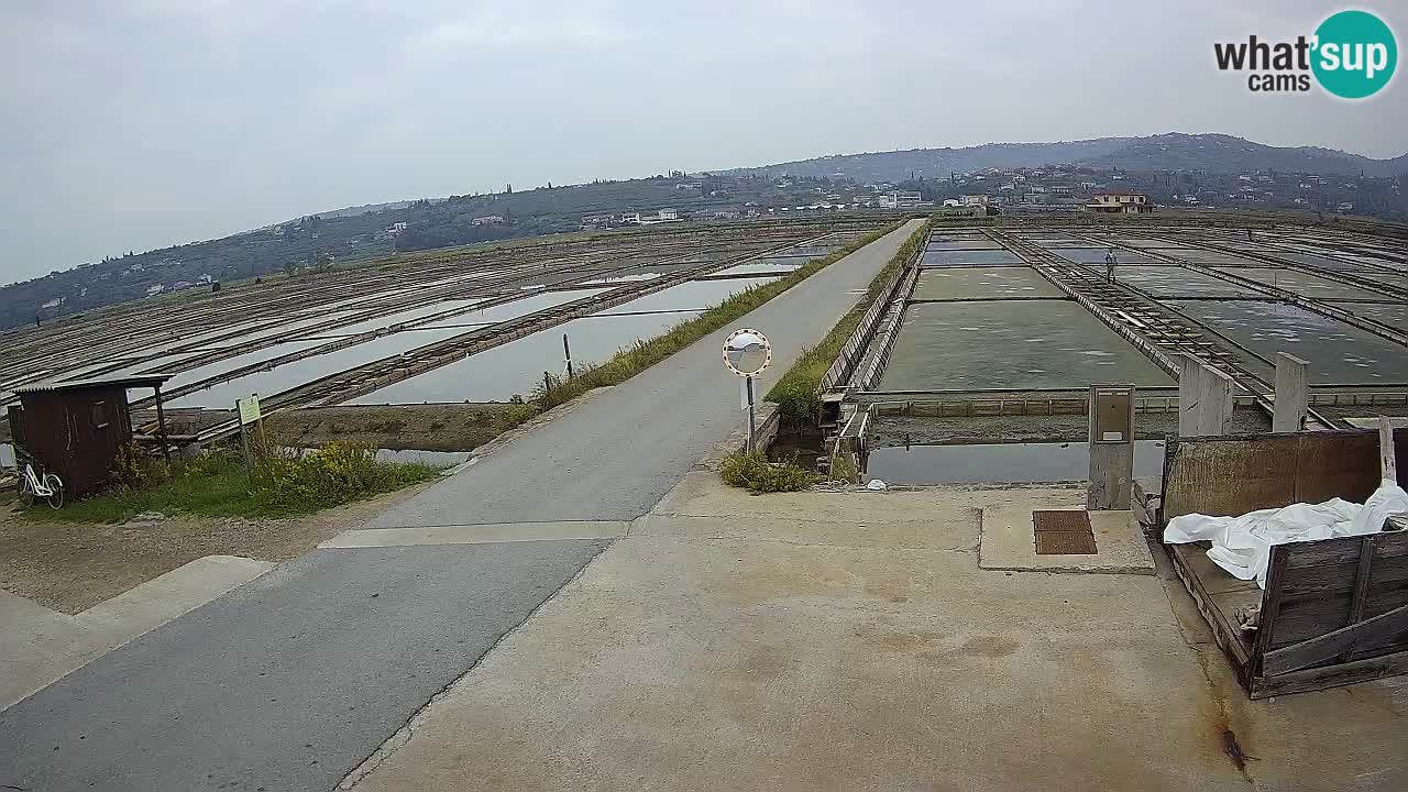 Sezza – Panorama e le saline