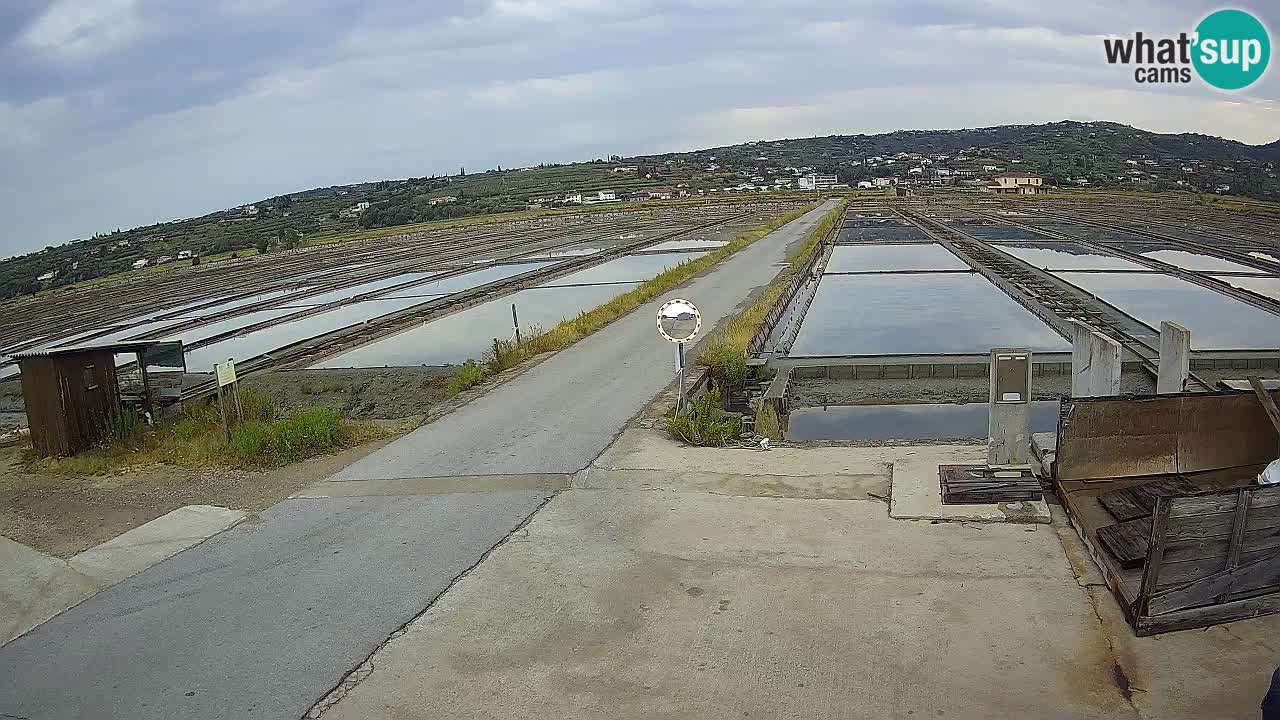 Sečovlje Salina Parque Natural