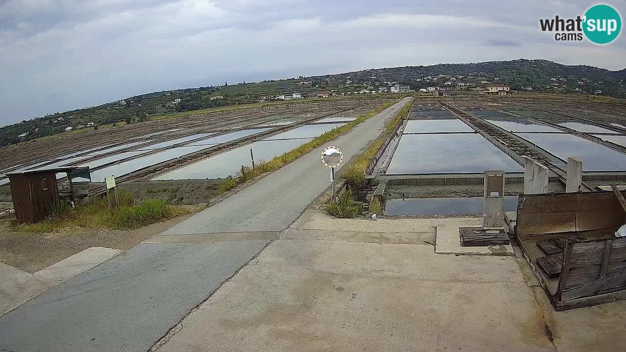 Sečovlje Salina Nature Park