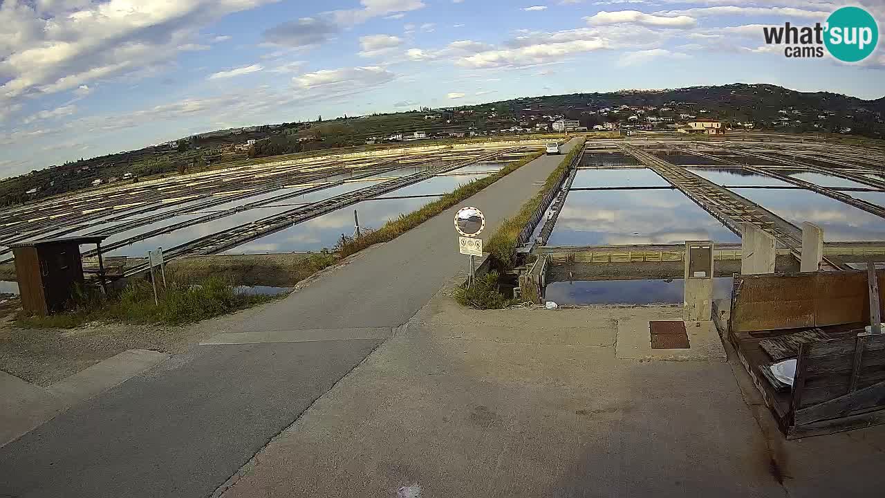 ﻿Sečovlje Salina Nature Park – KPSS