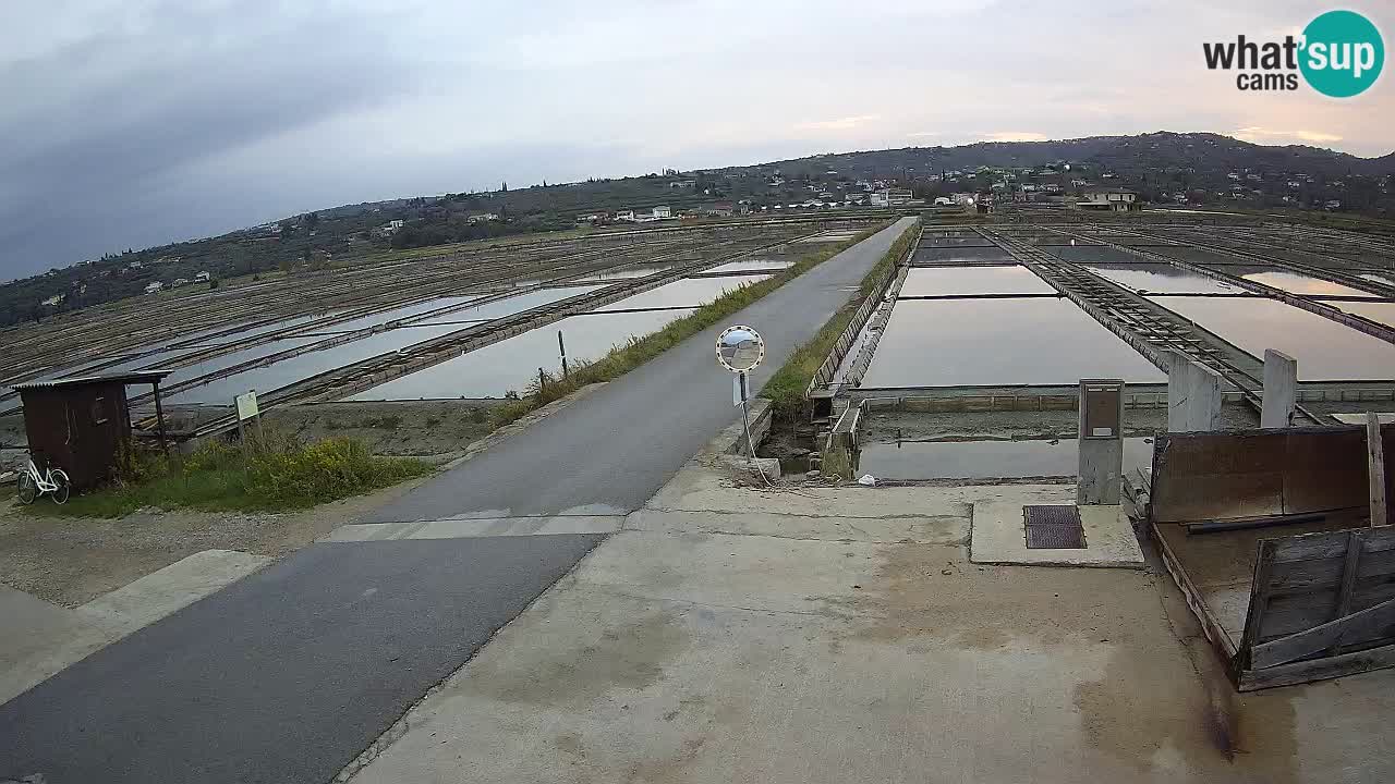 Parco Naturale Saline di Sicciole