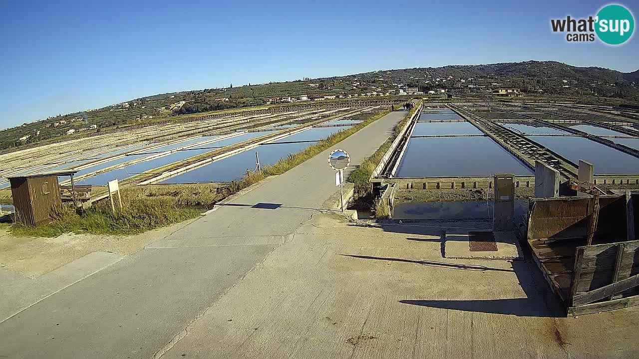 Sezza – Panorama e le saline