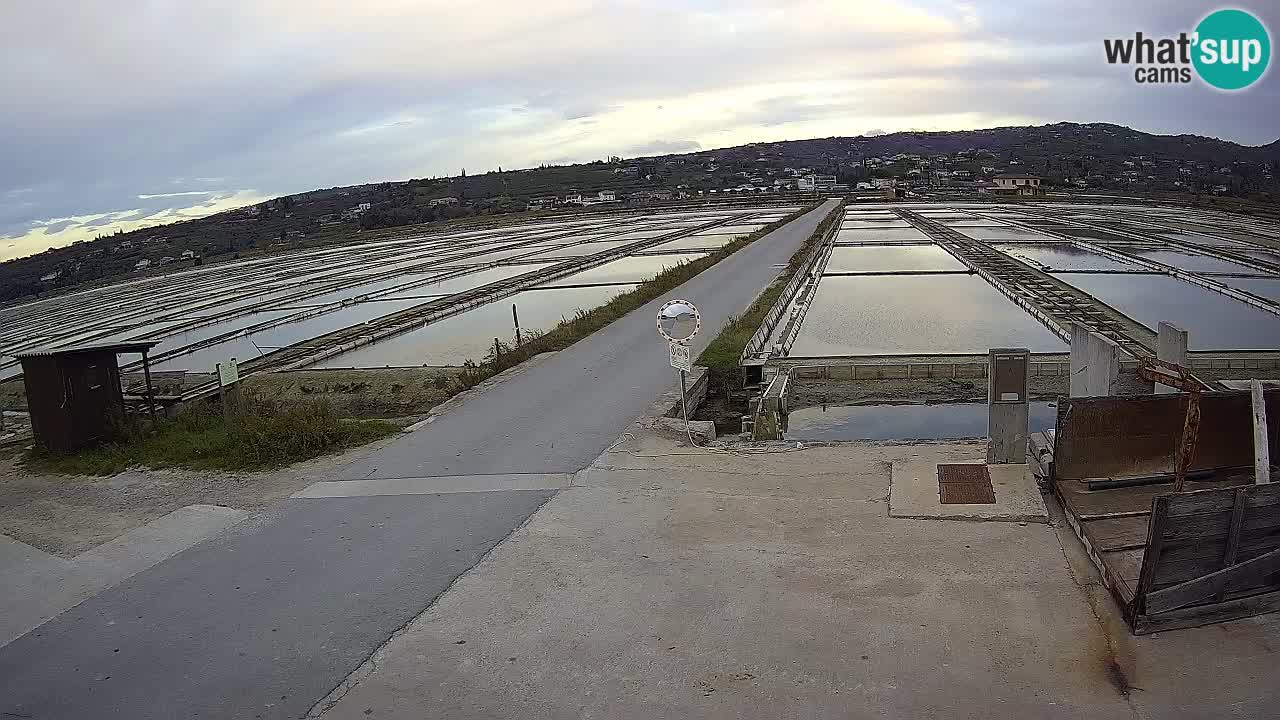 Park prirode Sečovlje Salina