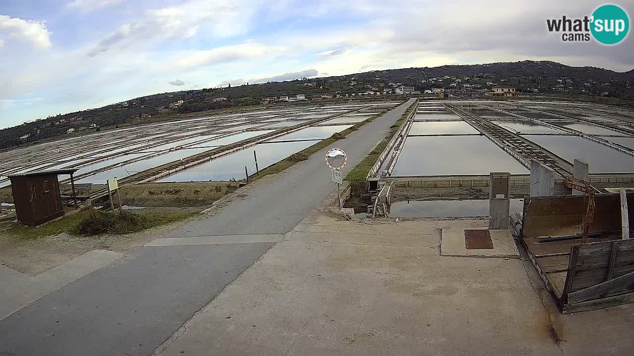 Park prirode Sečovlje Salina