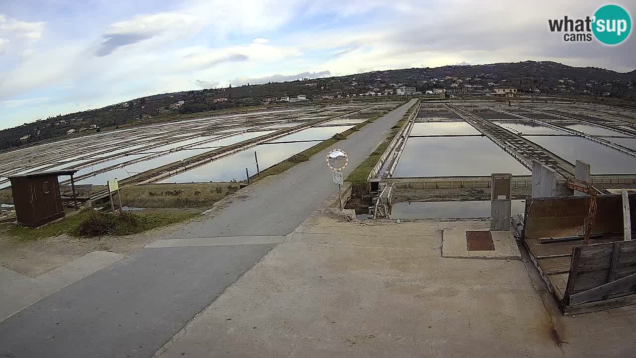 Parco Naturale Saline di Sicciole