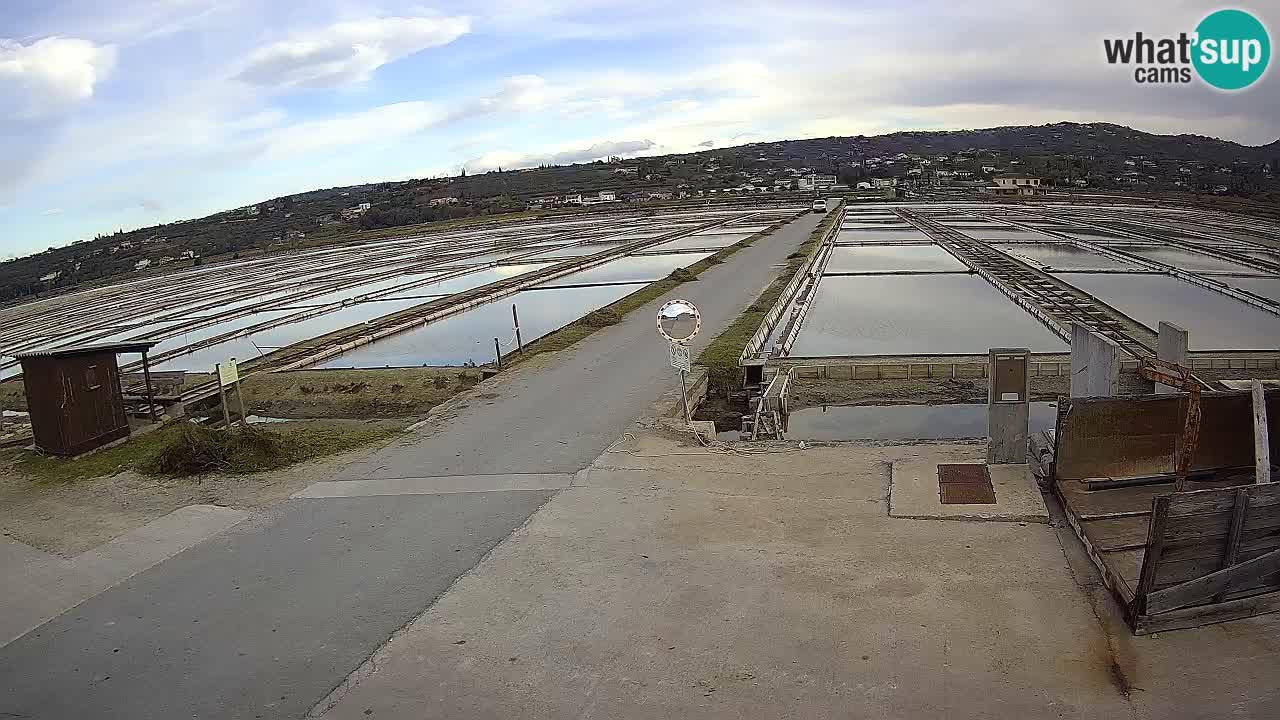 Sečovlje Salina Parque Natural