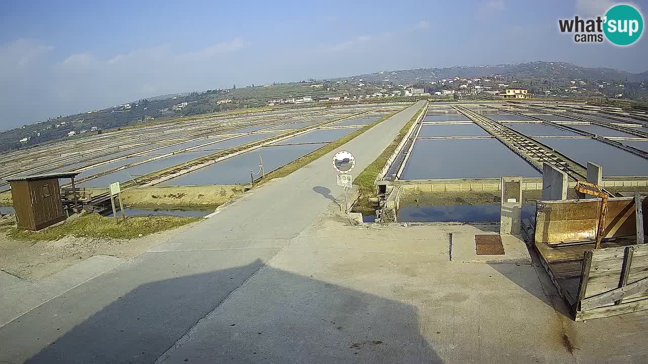 Krajinski Park Sečoveljske Soline