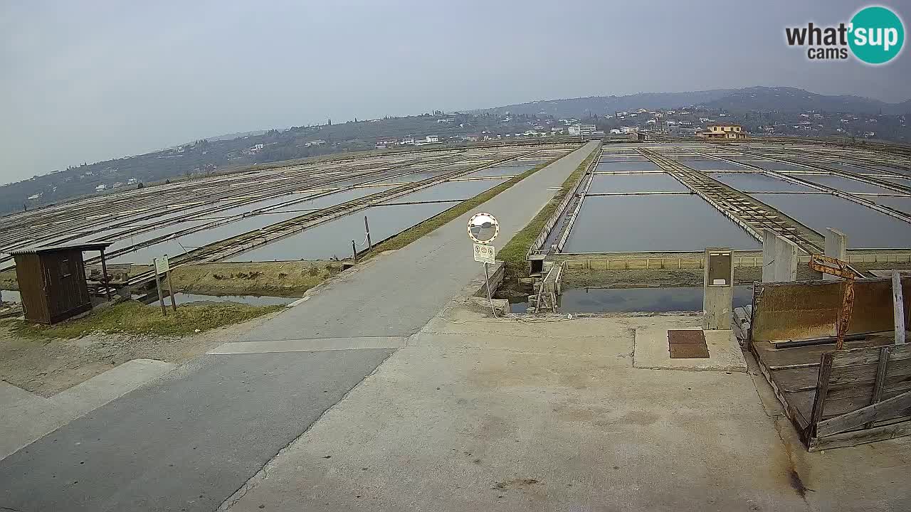 Krajinski Park Sečoveljske Soline