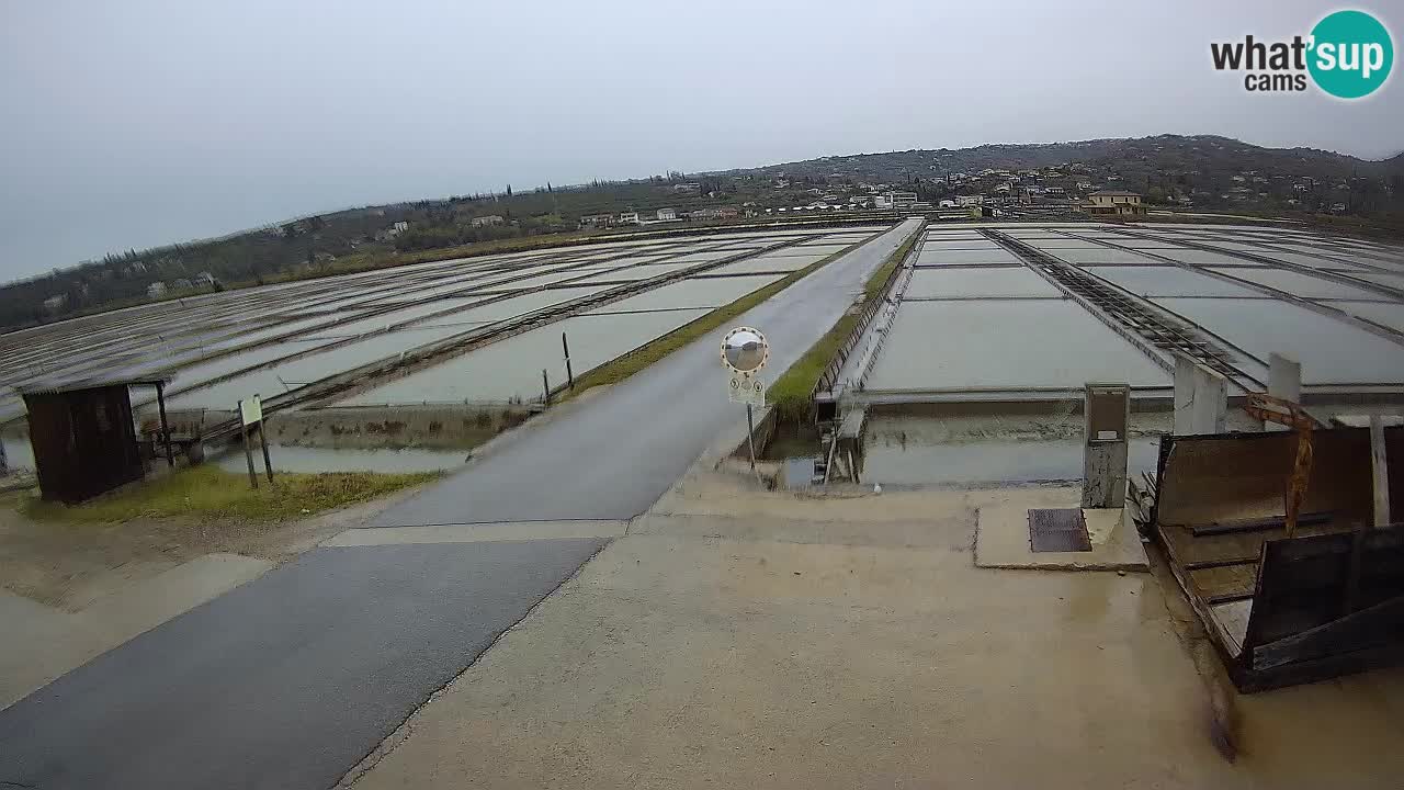 Sečovlje Salina Parque Natural