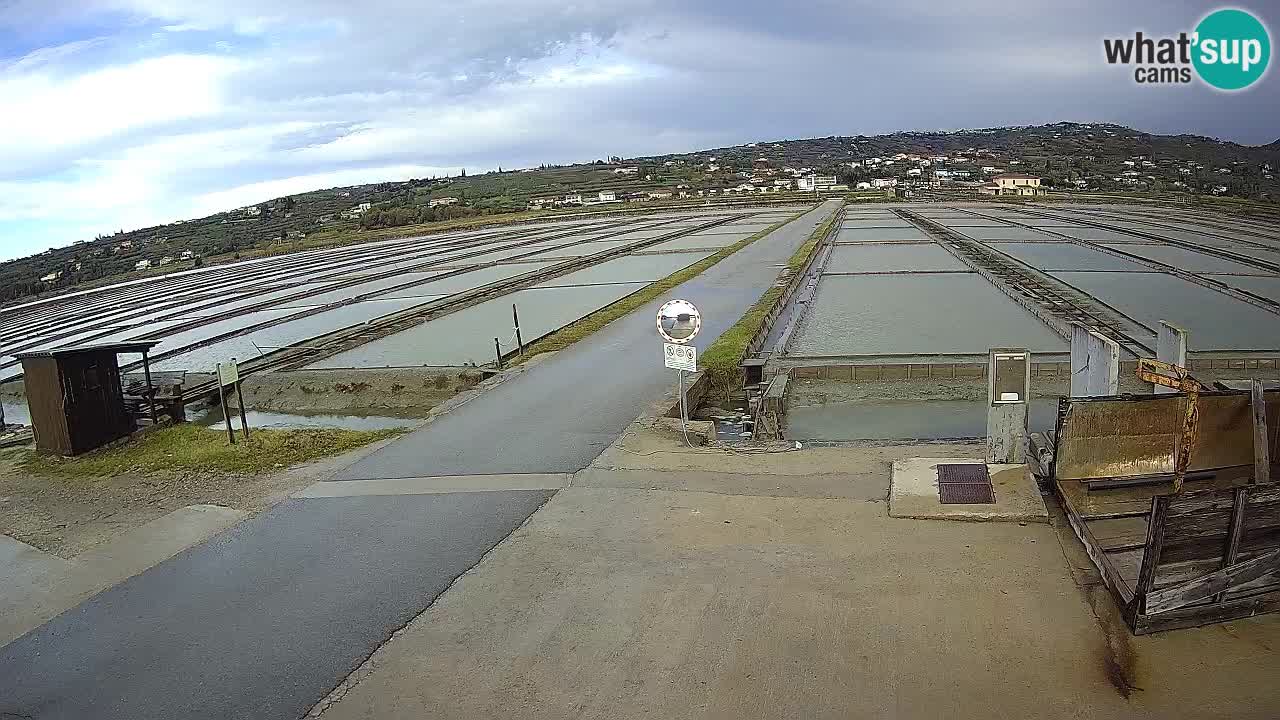 Sezza – Panorama e le saline