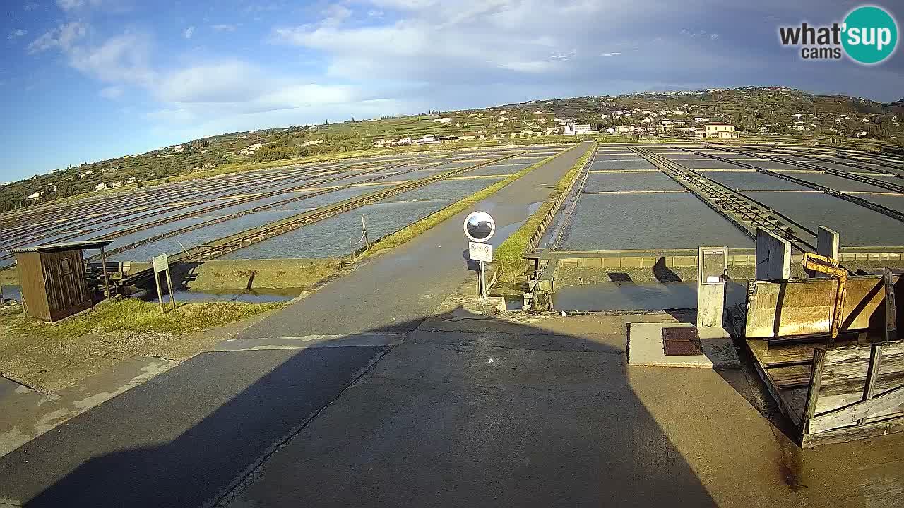 Krajinski Park Sečoveljske Soline