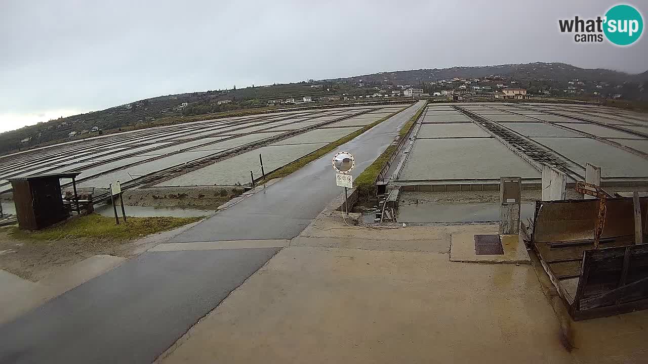 Sečovlje Salina Parque Natural