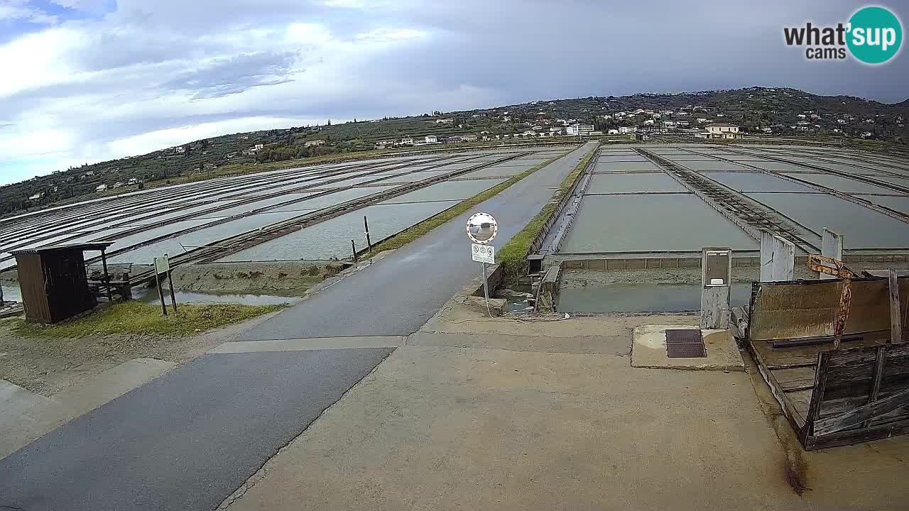 Sezza – Panorama e le saline