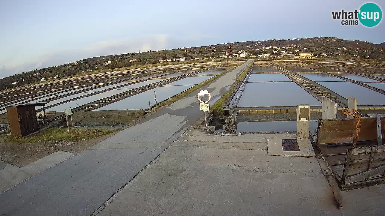 Park prirode Sečovlje Salina