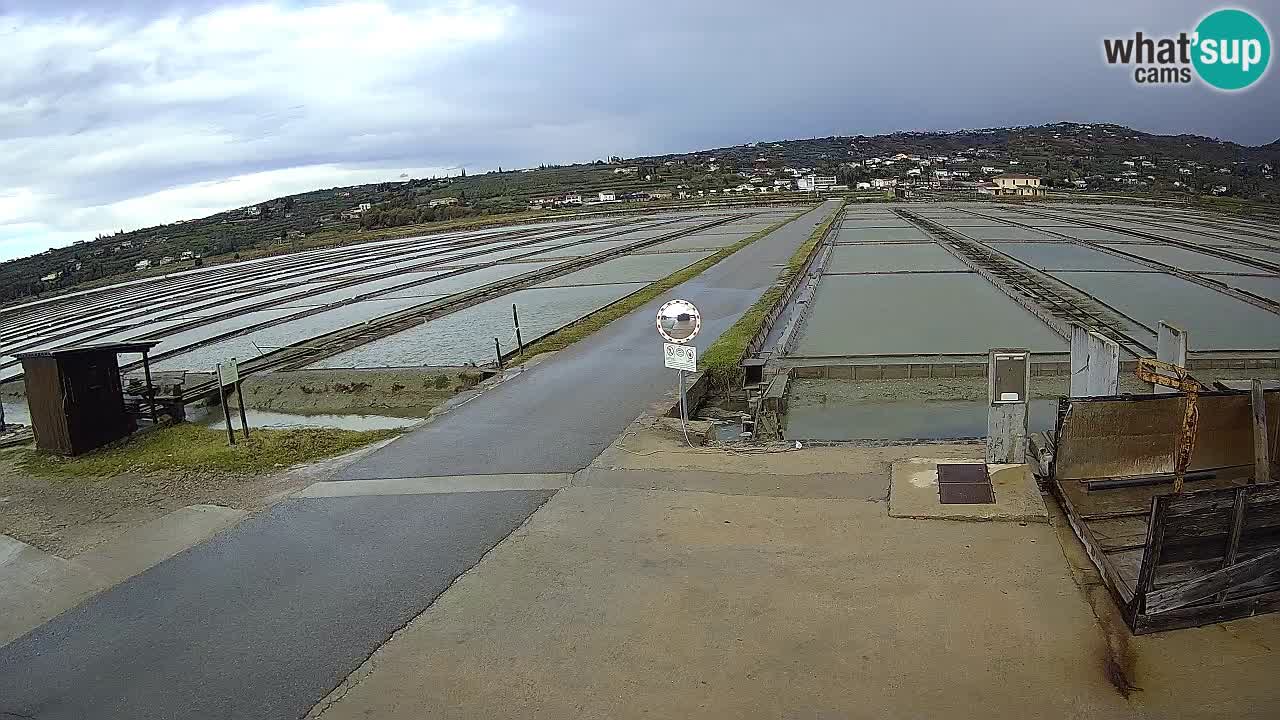 Sezza – Panorama e le saline