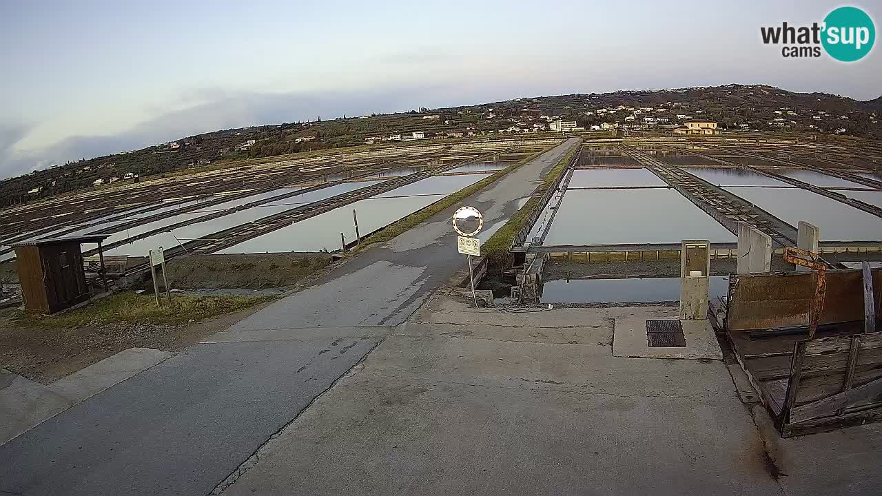 Sezza – Panorama e le saline