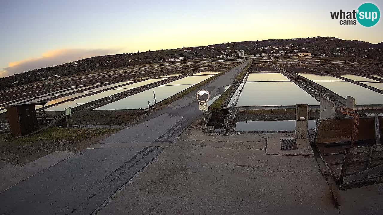 Krajinski Park Sečoveljske Soline