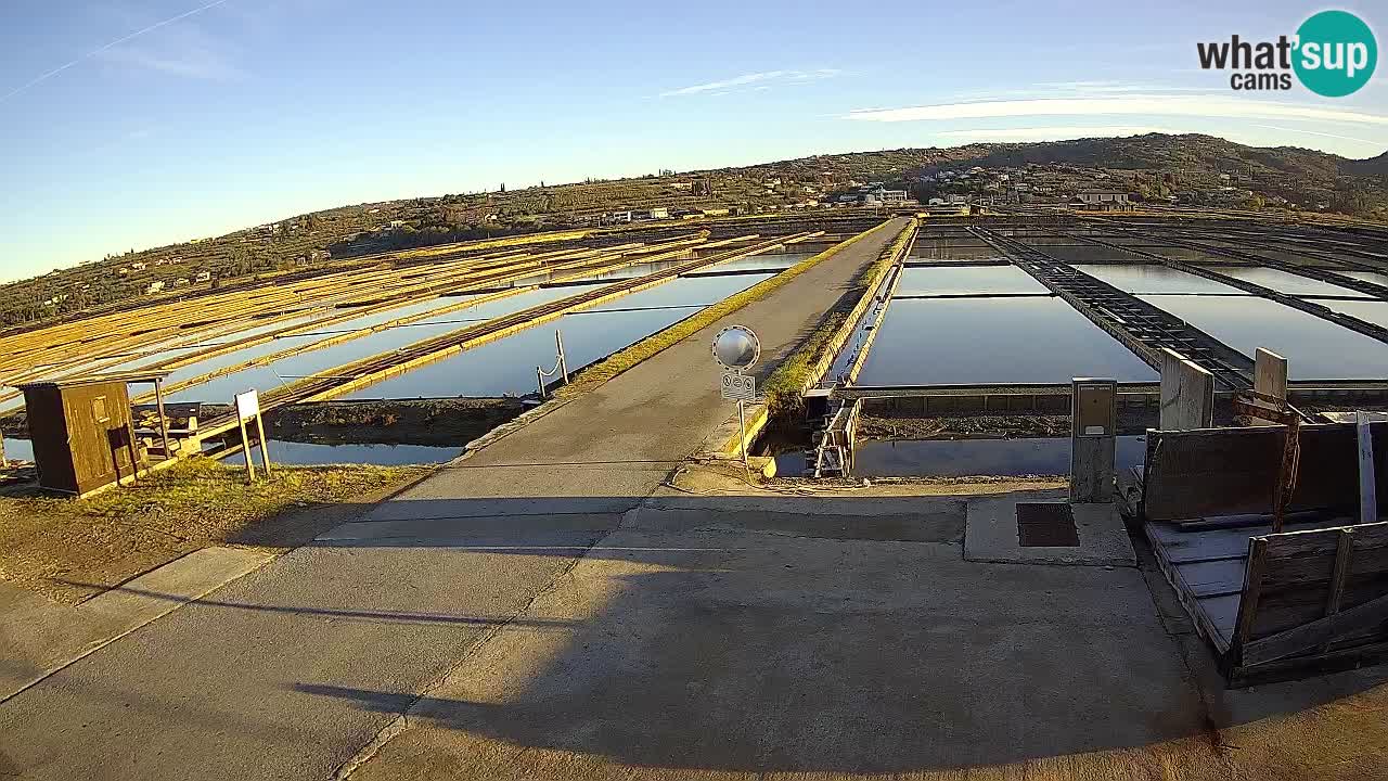 Sečovlje Salina Parque Natural