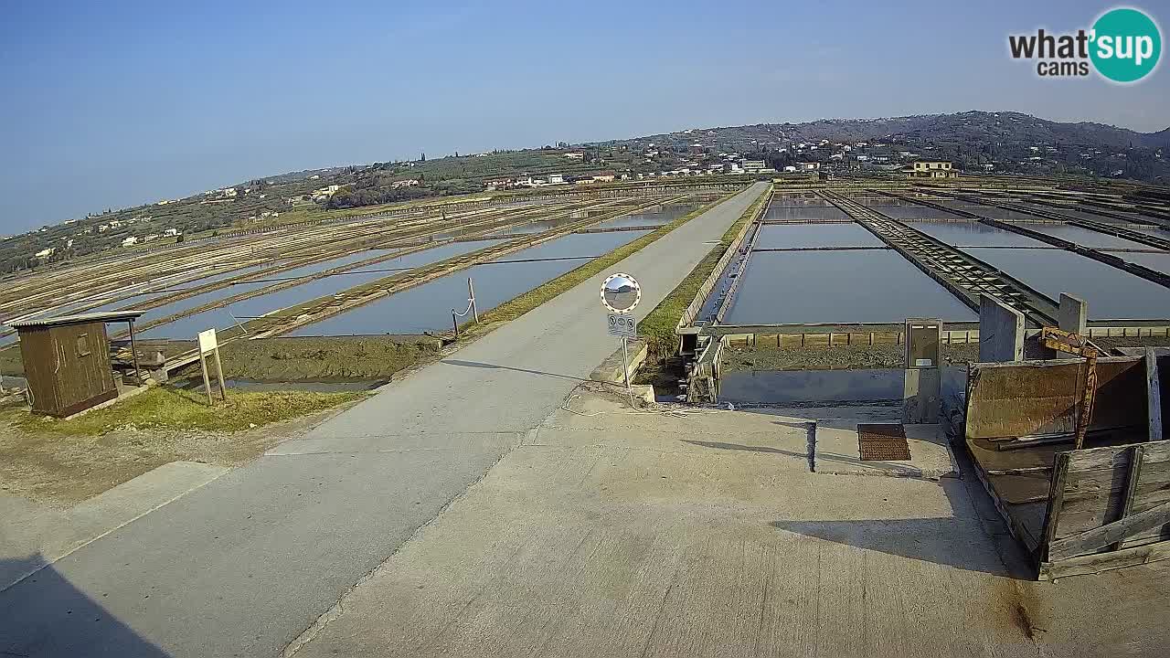 Sezza – Panorama e le saline