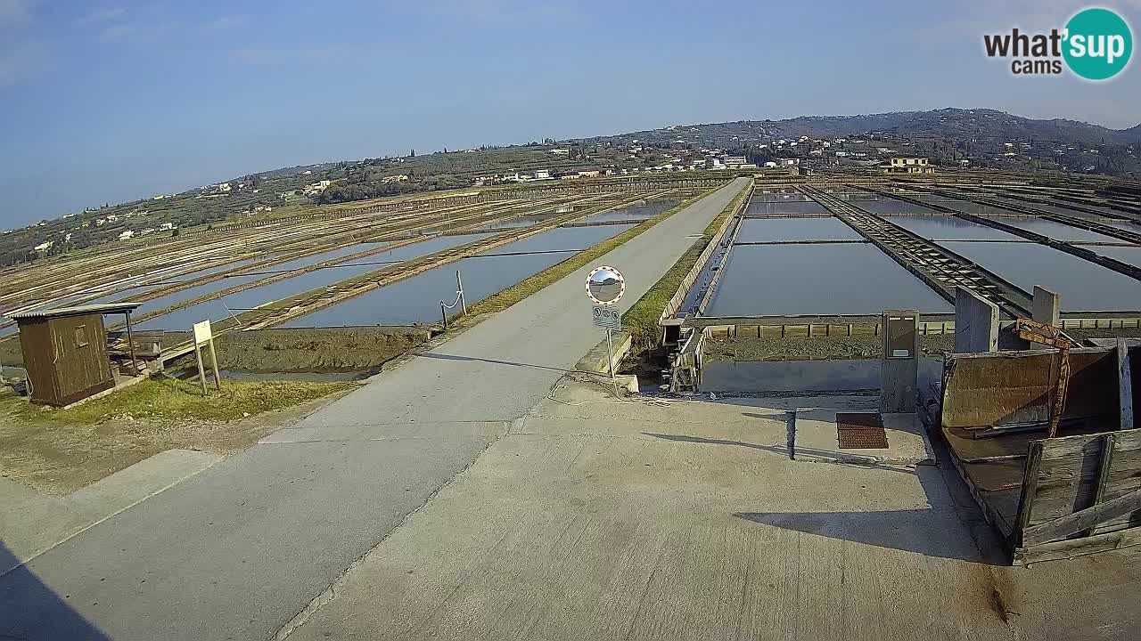 Seča – Panorama in soline