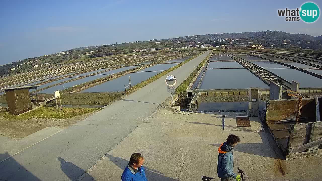 Sečovlje Salina Parque Natural