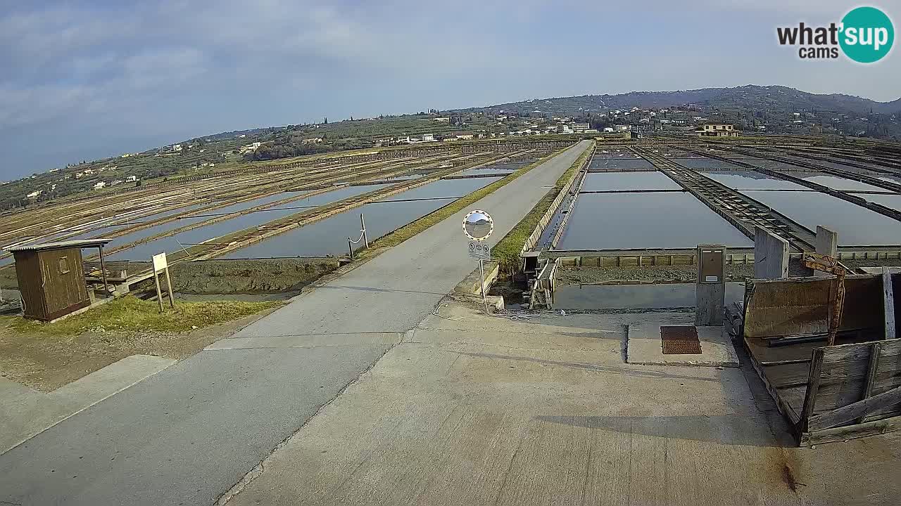 Naturpark der Salinen von Sečovlje