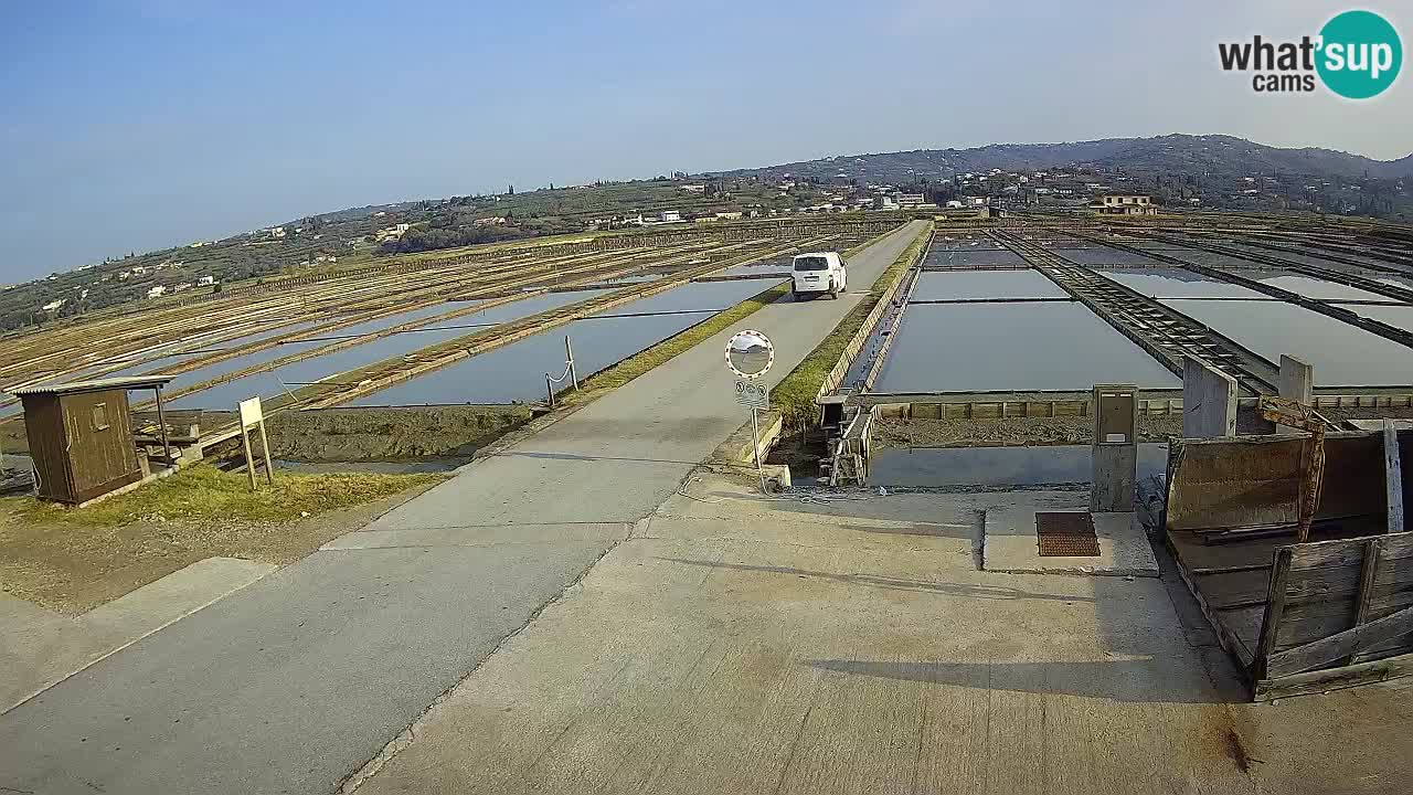 Park prirode Sečovlje Salina