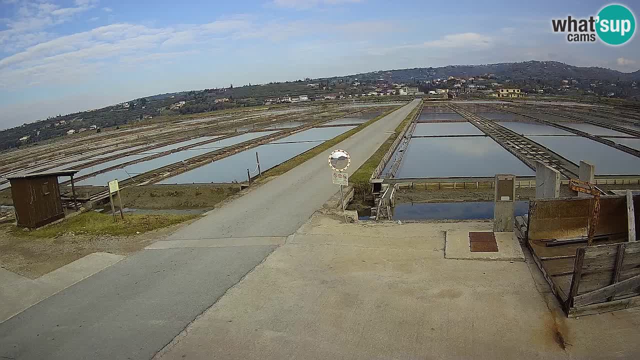 Krajinski Park Sečoveljske Soline