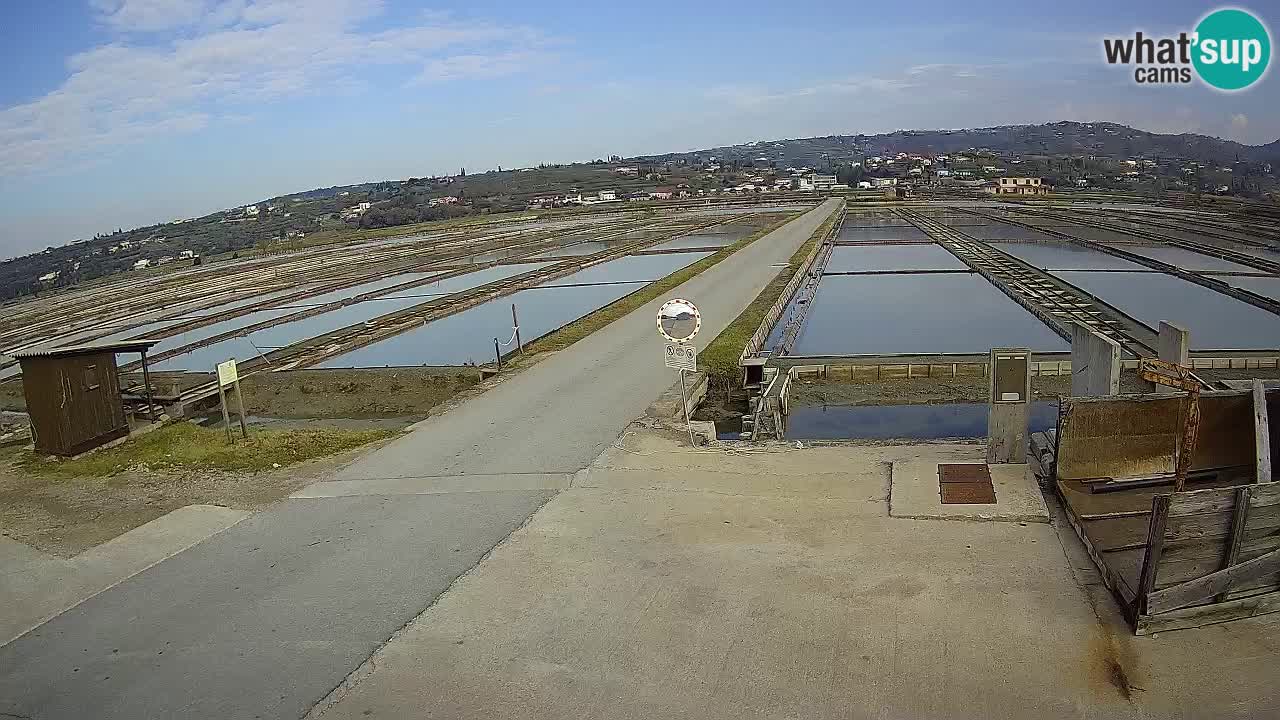 Sezza – Panorama e le saline