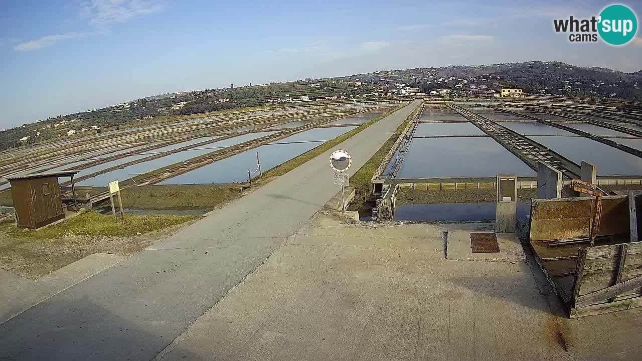 Parco Naturale Saline di Sicciole