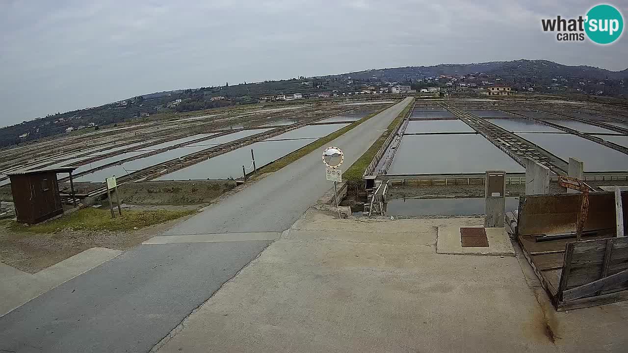 Parco Naturale Saline di Sicciole