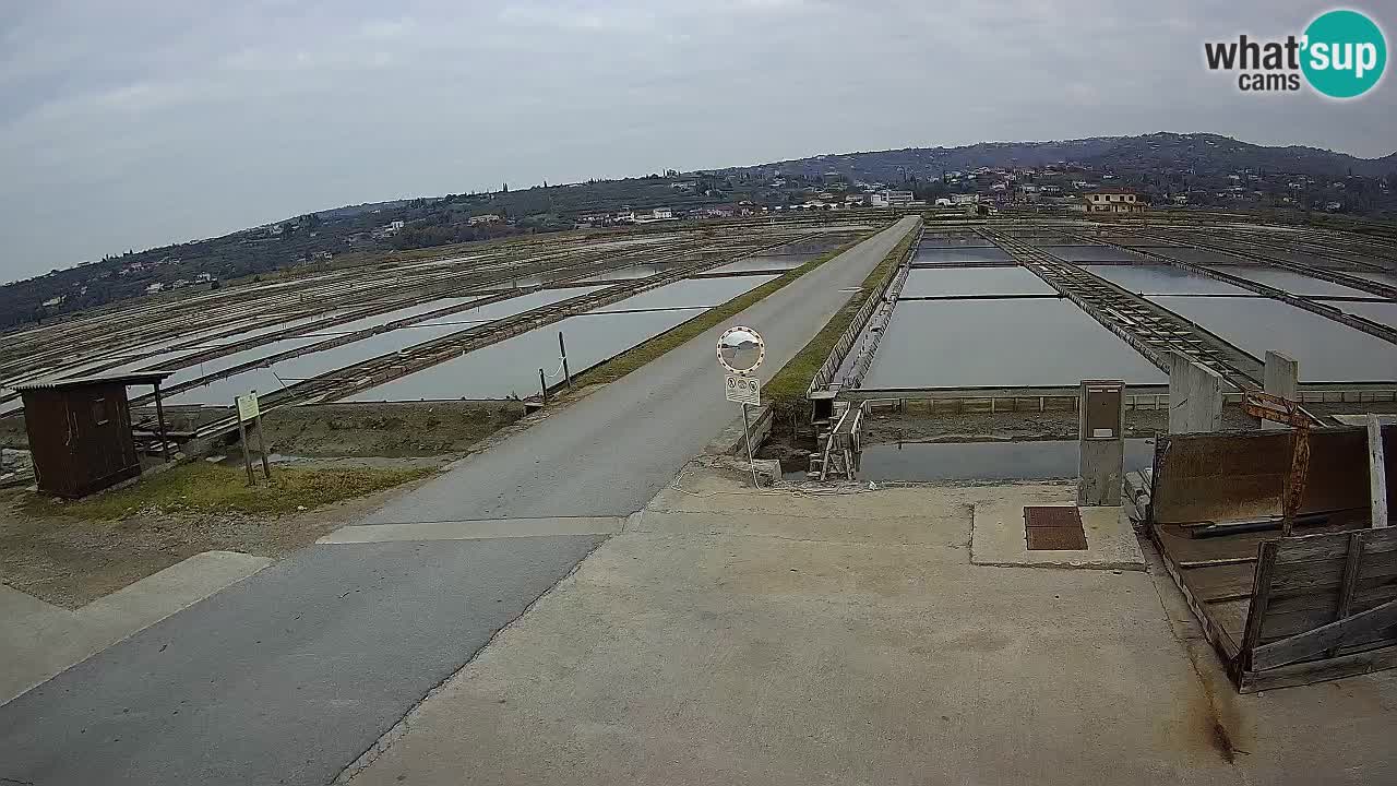 Sečovlje Salina Parque Natural