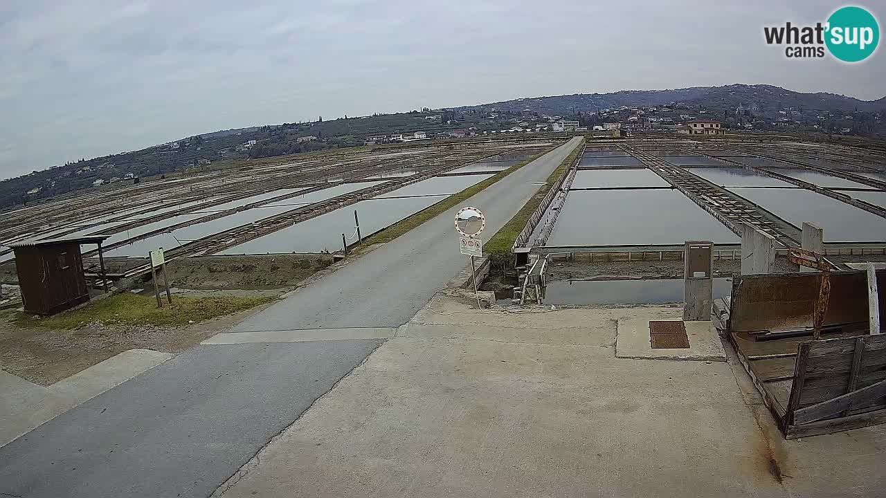 Parco Naturale Saline di Sicciole