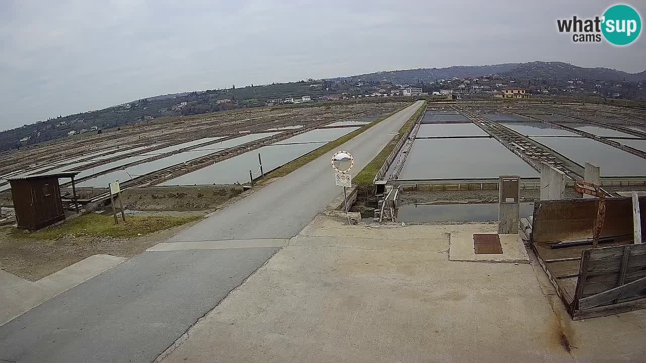 Sečovlje Salina Parque Natural