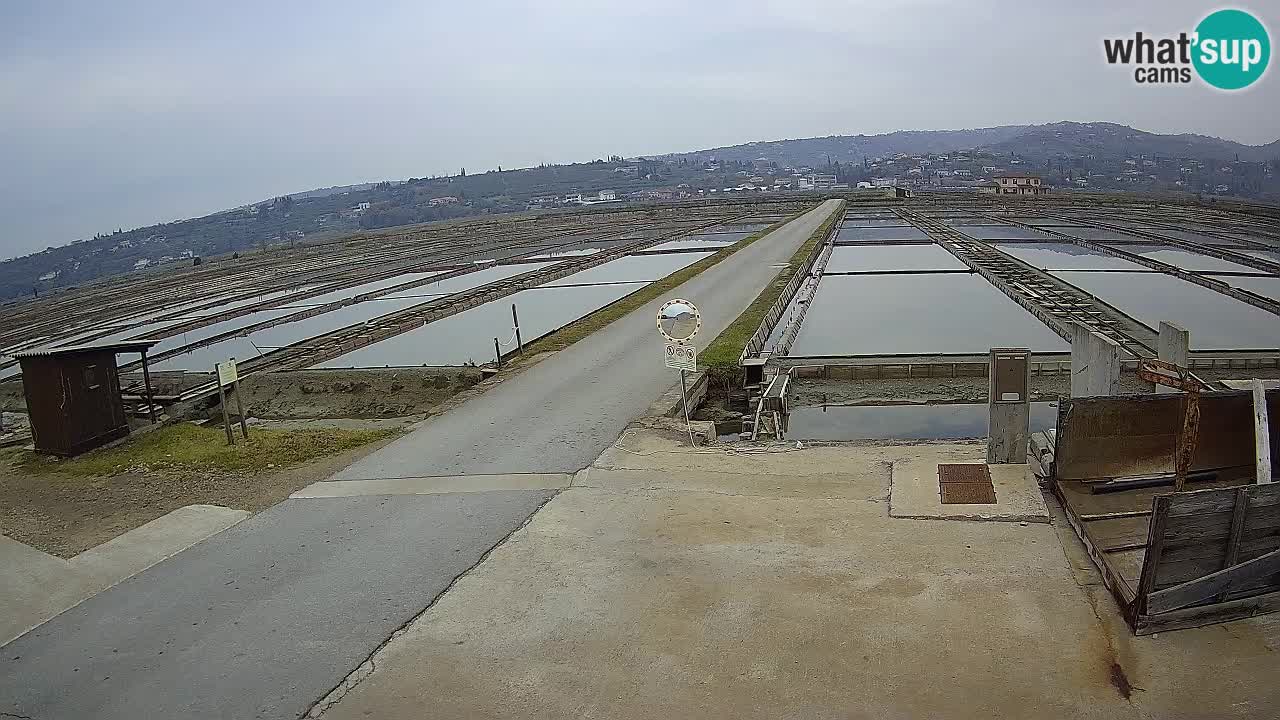 Krajinski Park Sečoveljske Soline