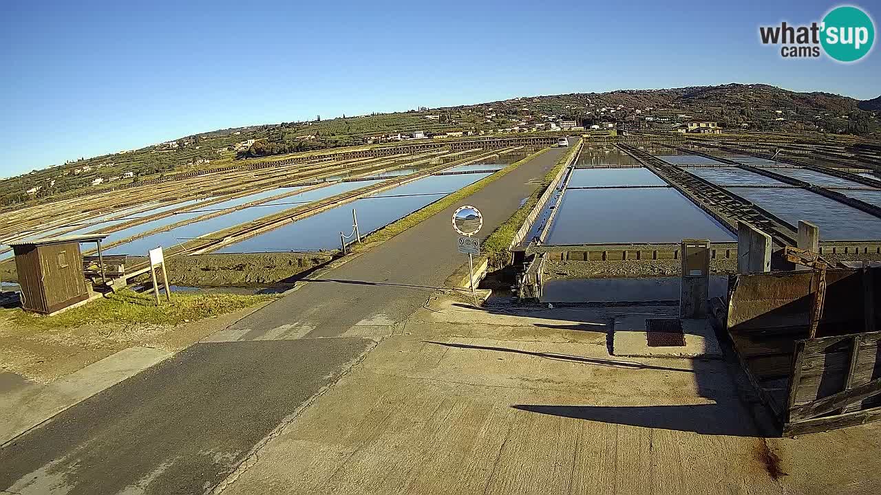 Sezza – Panorama e le saline