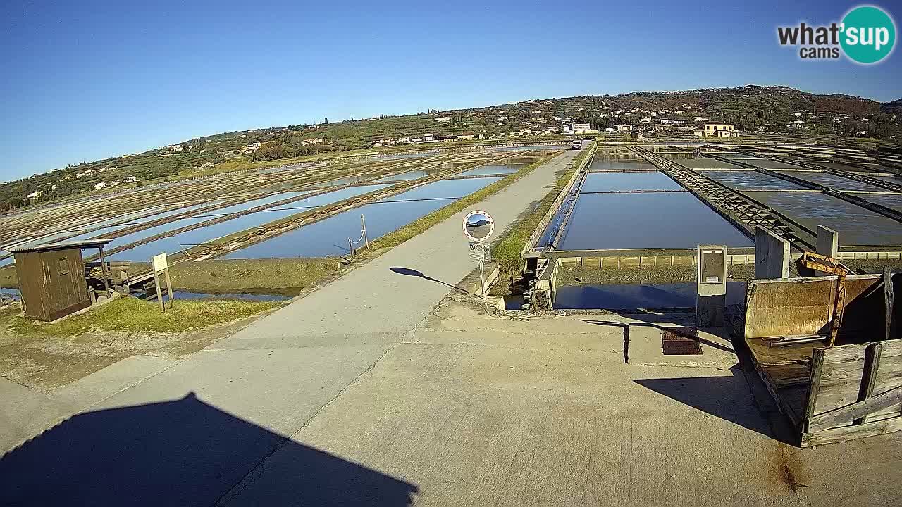 Sečovlje Salina Parque Natural