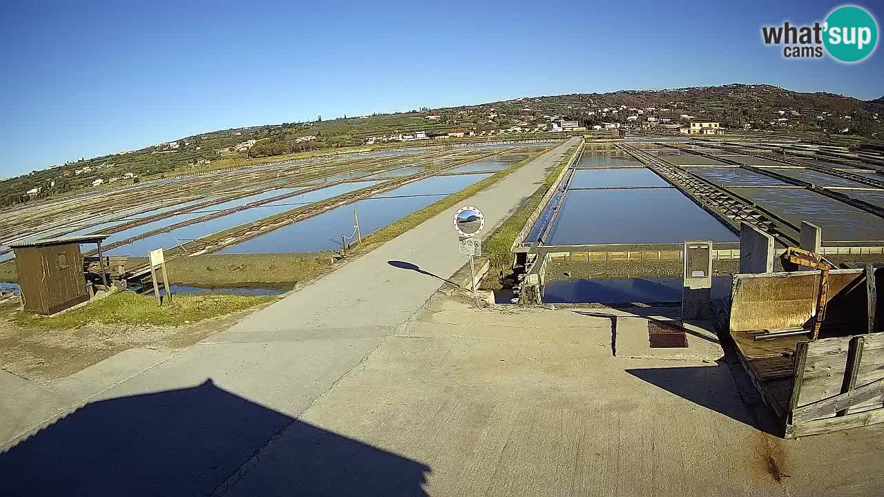 Sečovlje Salina Parque Natural