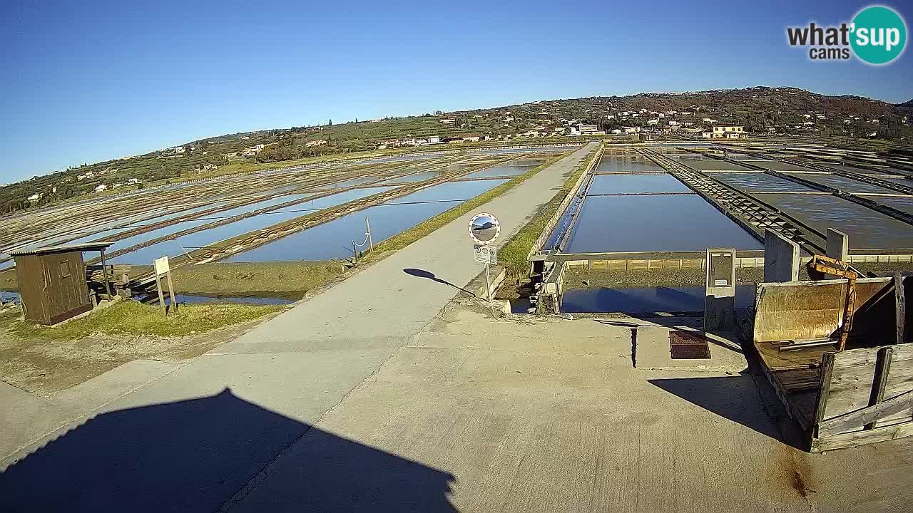 Sečovlje Salina Parque Natural