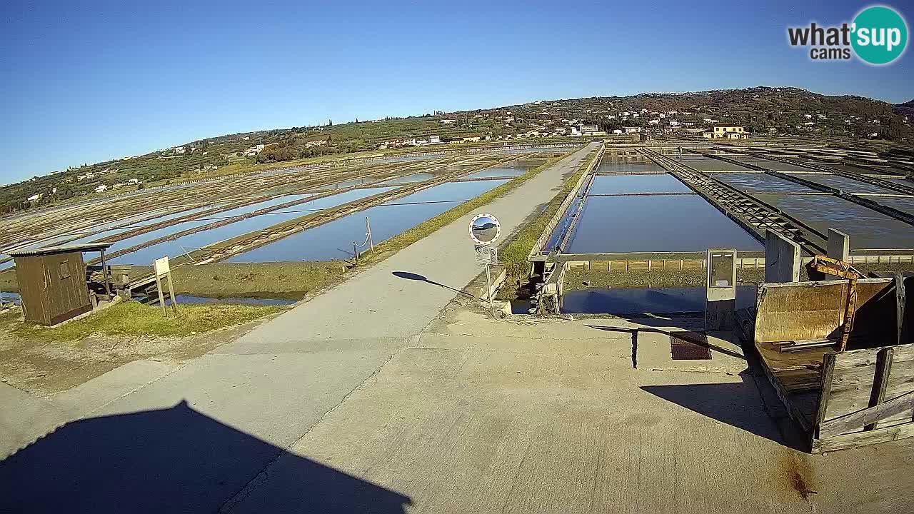 Parco Naturale Saline di Sicciole