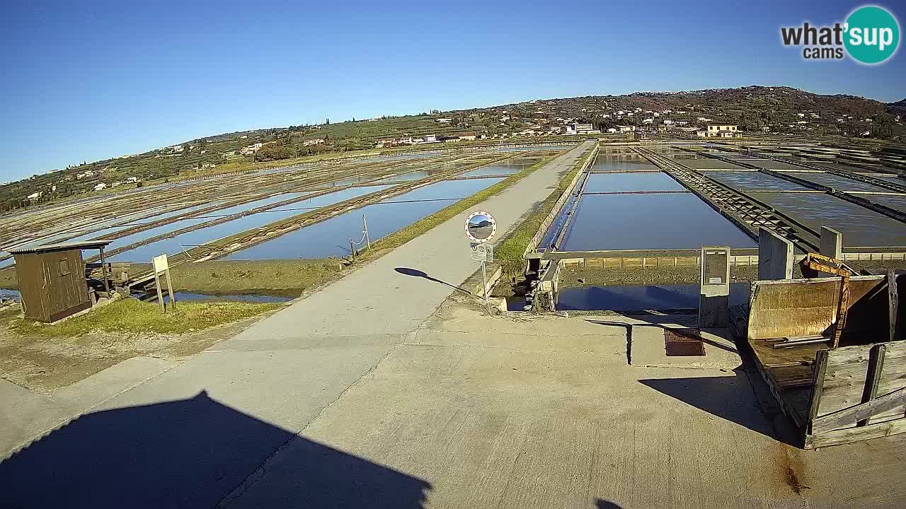 Sečovlje Salina Parque Natural