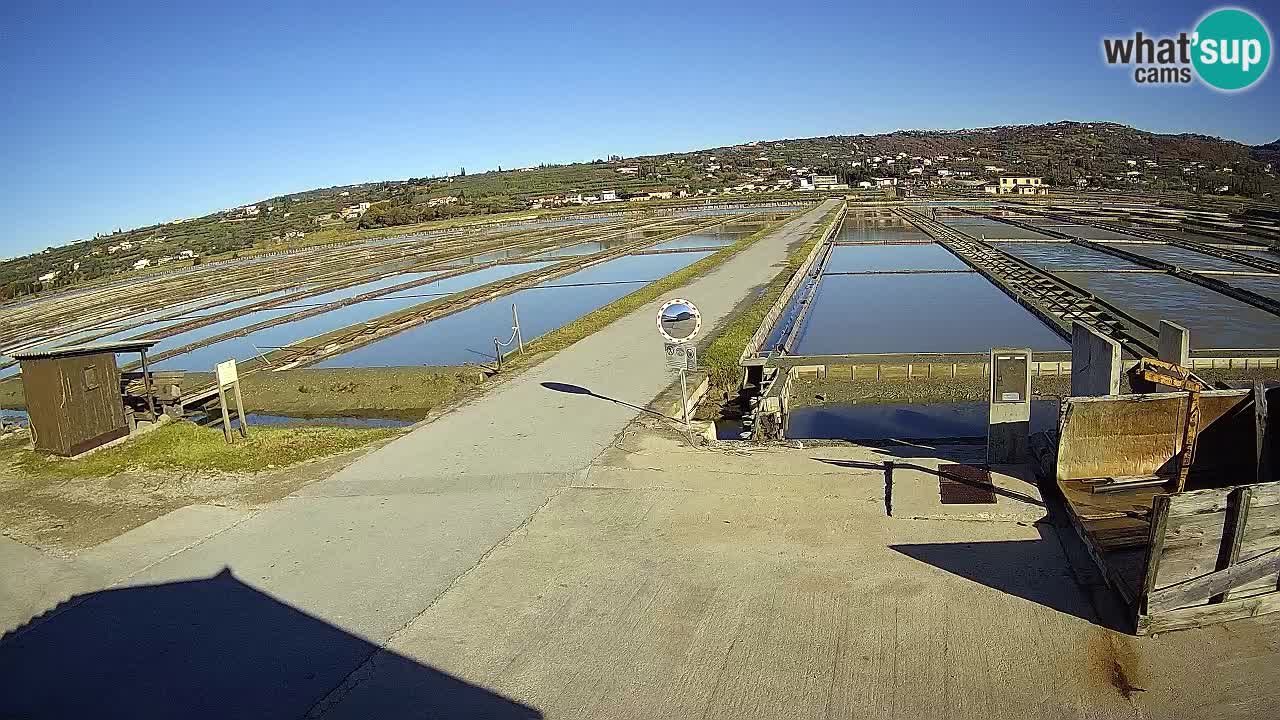 Parco Naturale Saline di Sicciole