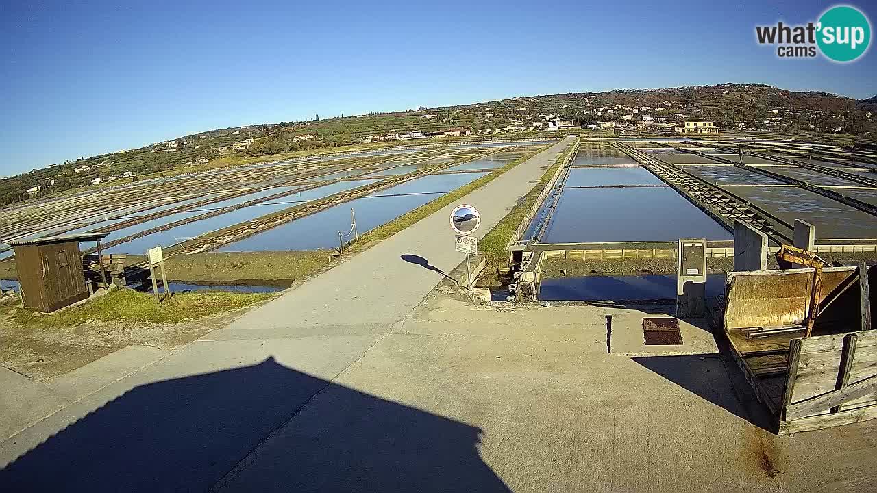 Naturpark der Salinen von Sečovlje