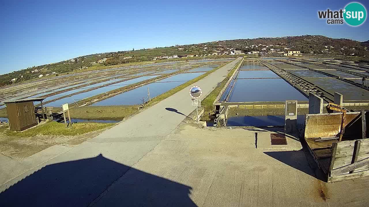 Sečovlje Salina Parque Natural