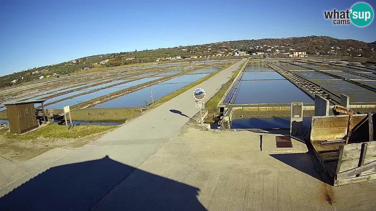 Park prirode Sečovlje Salina