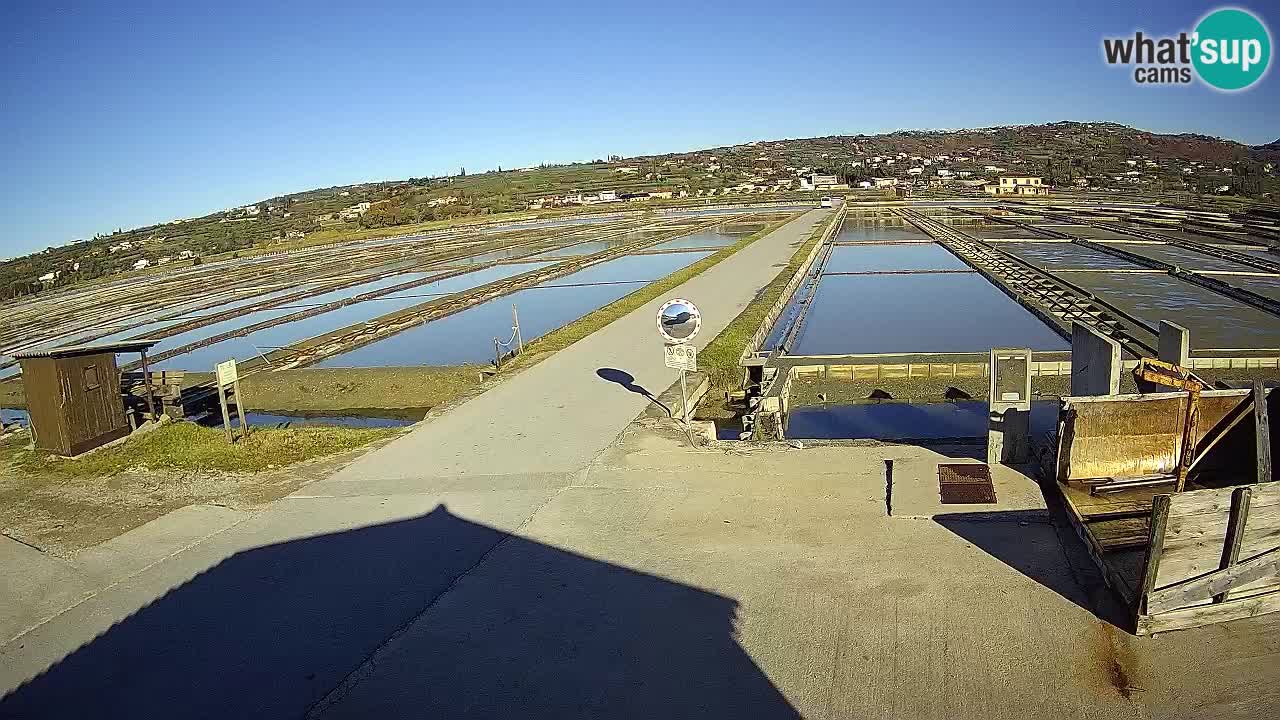 Park prirode Sečovlje Salina