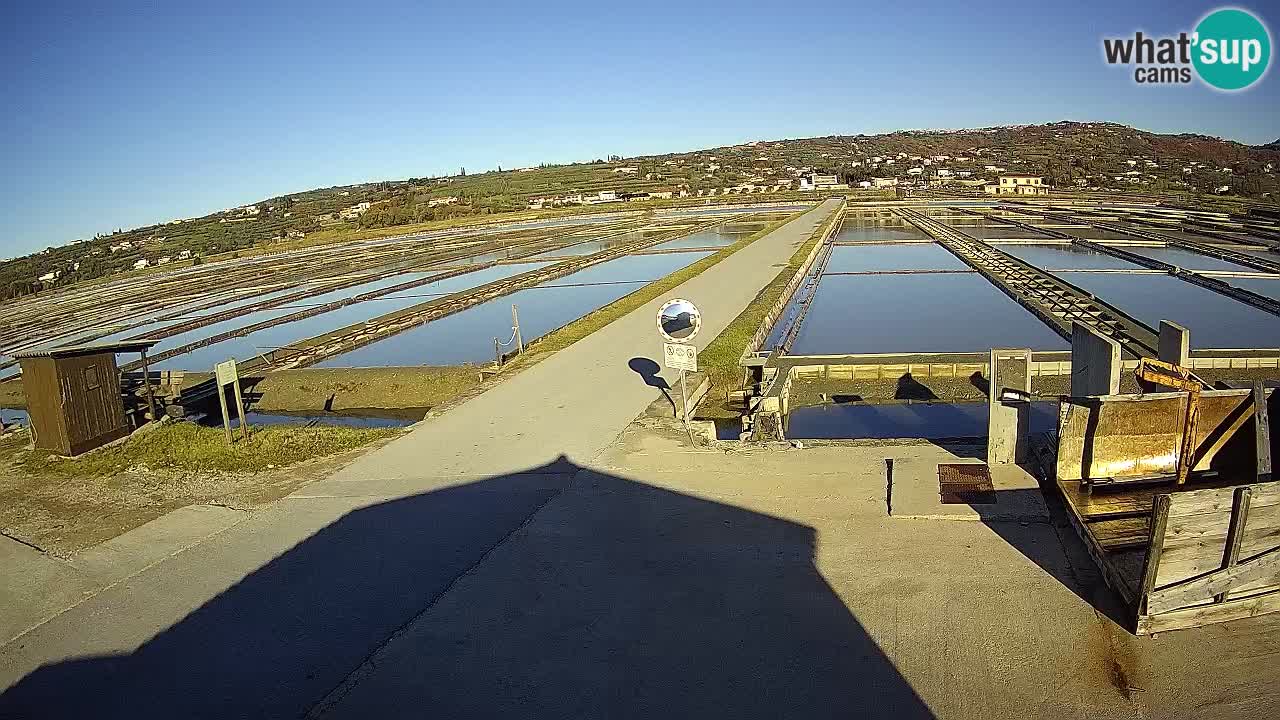 Park prirode Sečovlje Salina