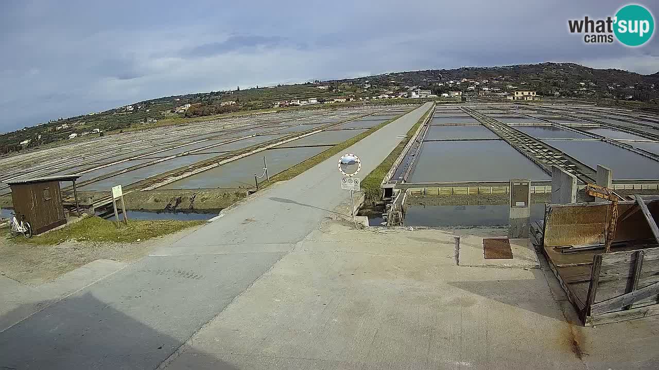 Park prirode Sečovlje Salina