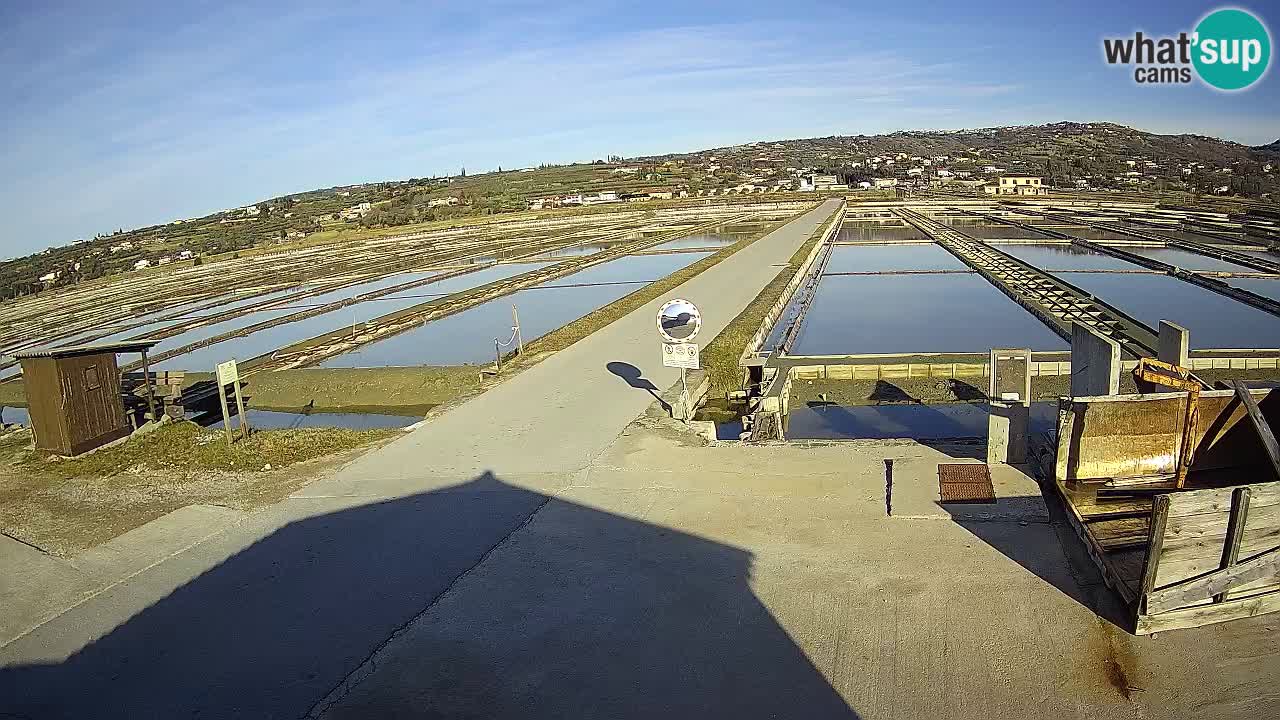 ﻿Sečovlje Salina Nature Park – KPSS