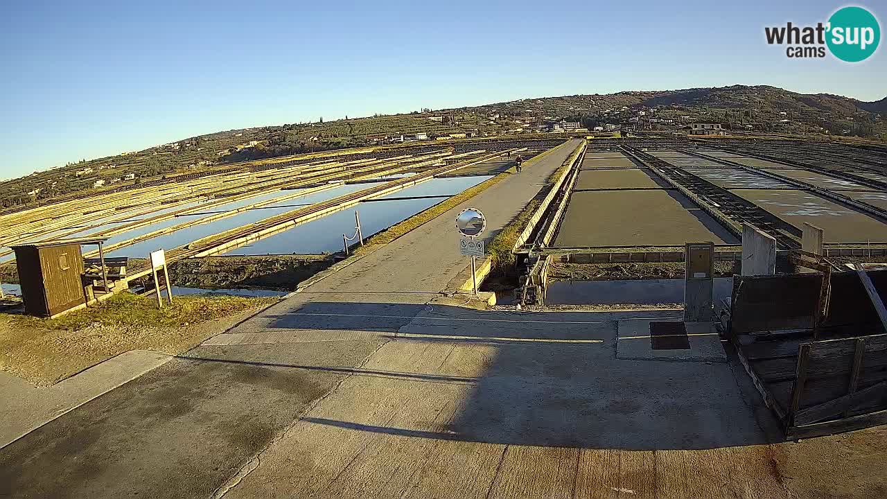 Sečovlje Salina Parque Natural